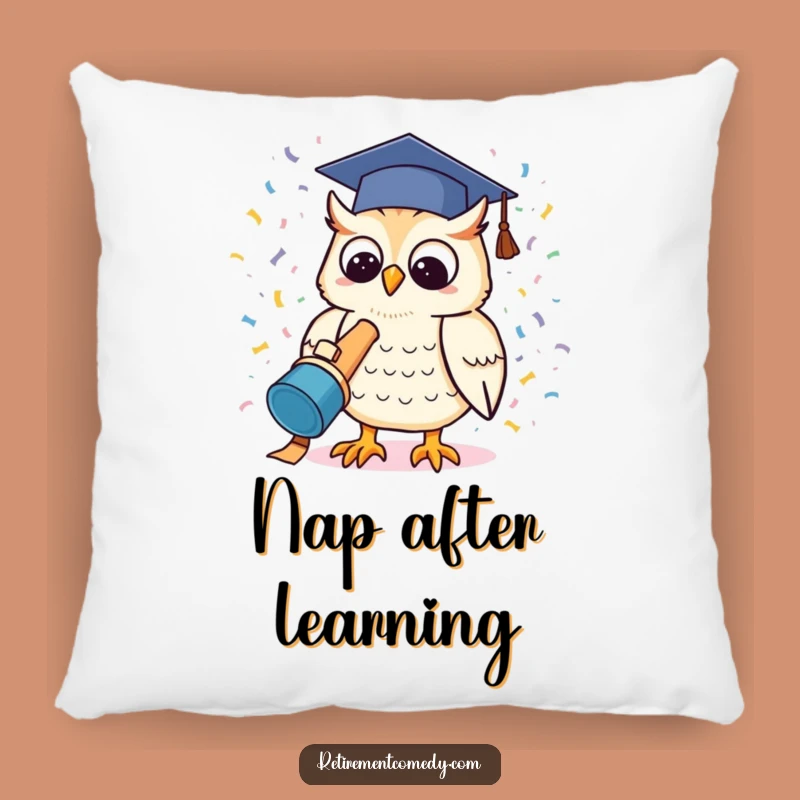 Funny Kawaii Owl Graduation Pillow: Cozy Achievement Gift